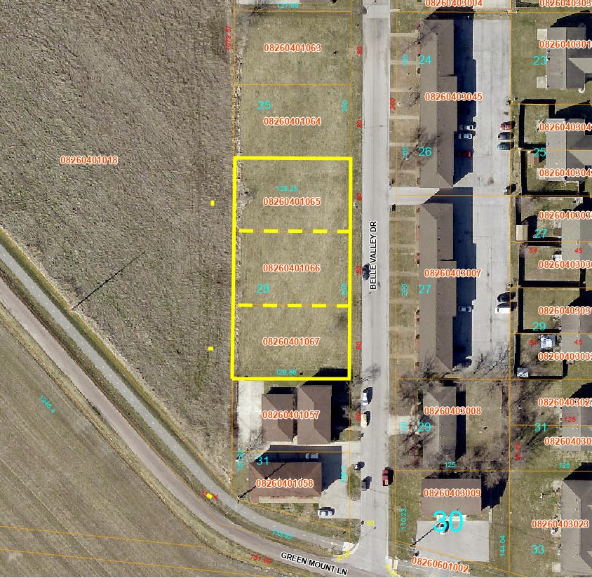 1021 & 1027 Belle Valley Dr - AERIAL