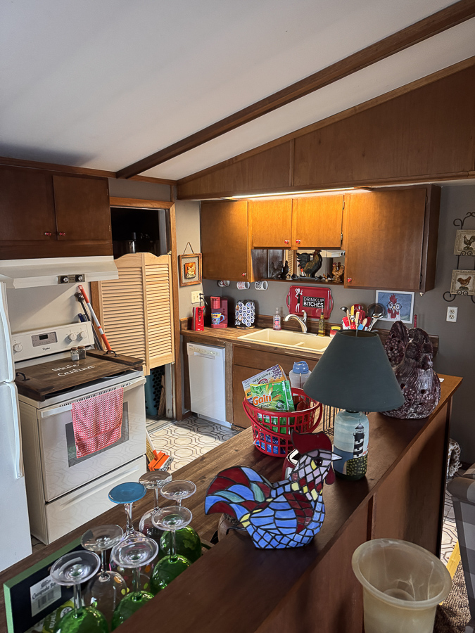 IMG_20260112_084029 (4) - Copy